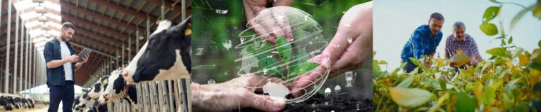 Diplomatura en Agronegocios