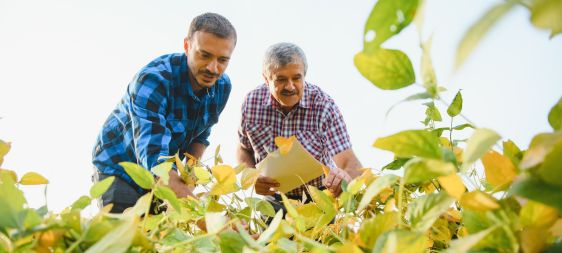 Diplomatura en Agronegocios