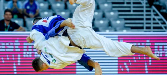 Diplomatura en Desarrollo Deportivo de Judo