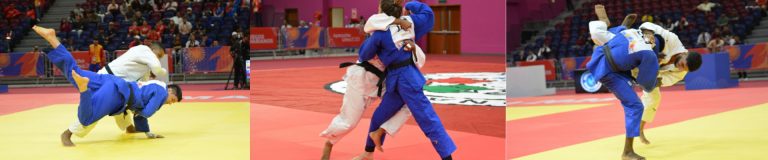 Diplomatura en Desarrollo Deportivo de Judo