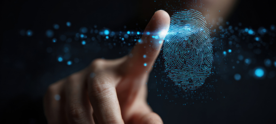 TAMBIÉN PUEDE INTERESARTE