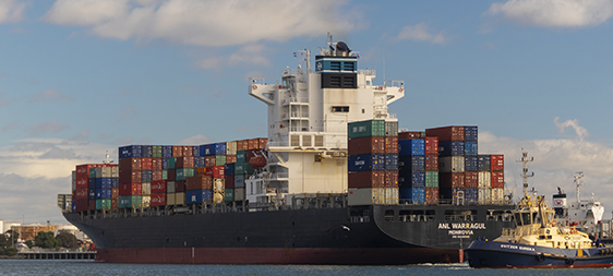 TAMBIÉN PUEDE INTERESARTE